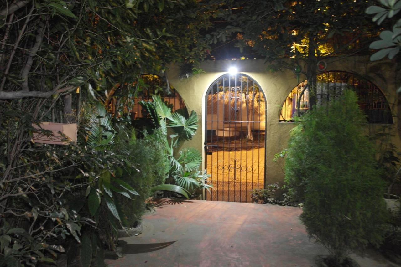 Hostal Nicaragua Guest House Манагуа Экстерьер фото
